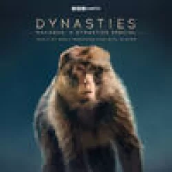 Macaque: A Dynasties Special